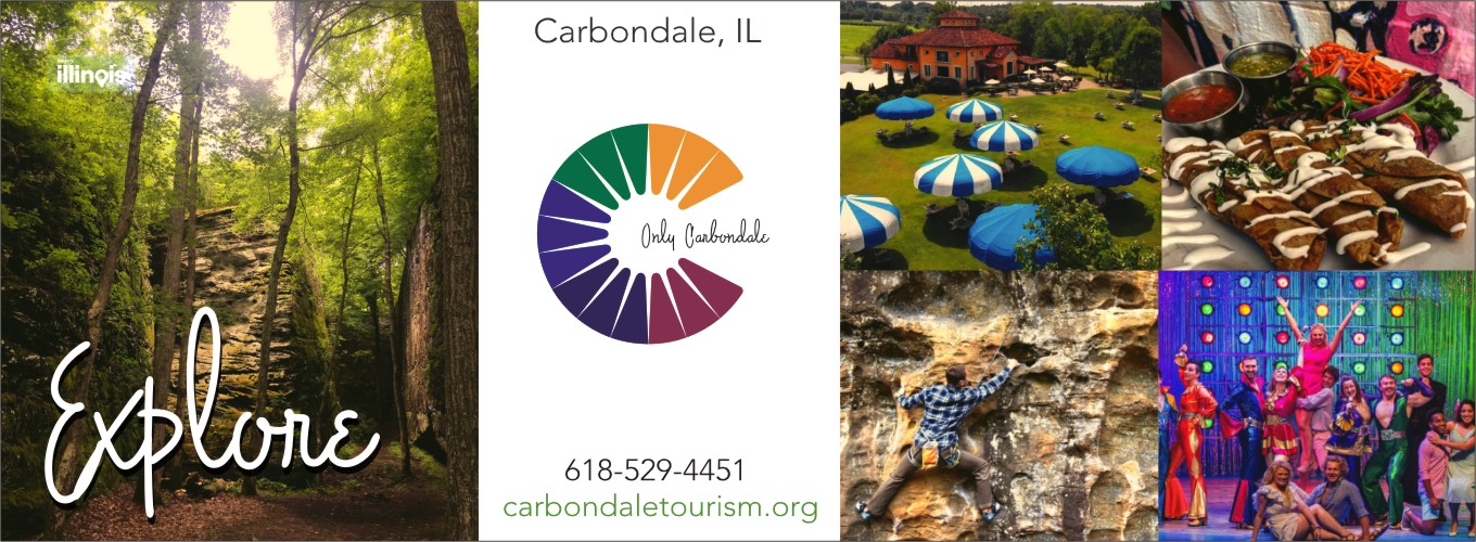insync carbondale il insync carbondale il